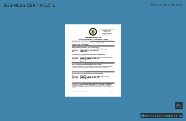 Gründungsurkunde einer Gesellschaft mit beschränkter Haftung in Puerto Rico (Word und PDF), Beispielvorschau